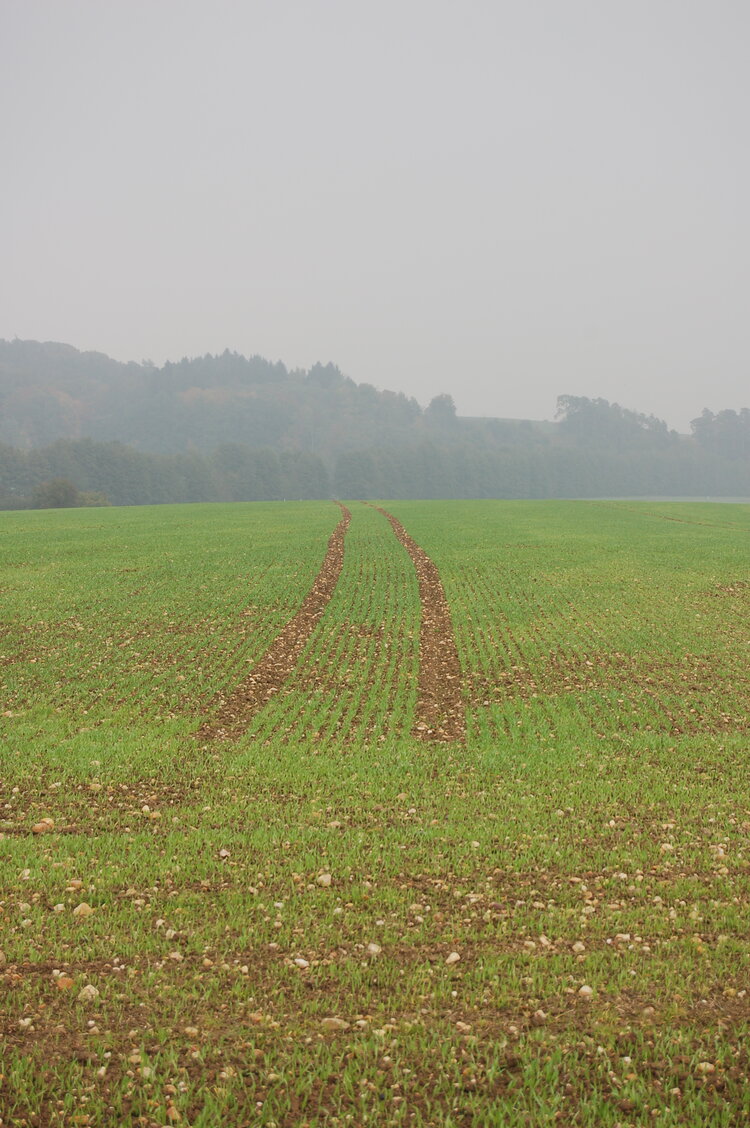 an1_009278.jpg