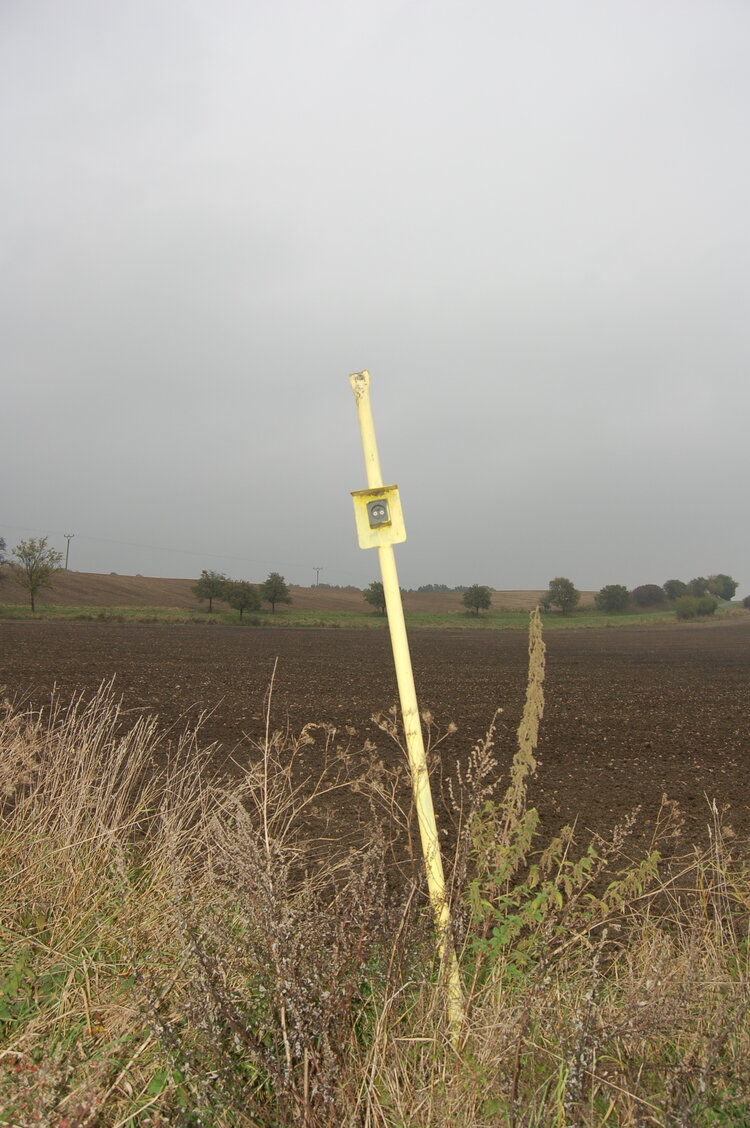 an1_009280.jpg