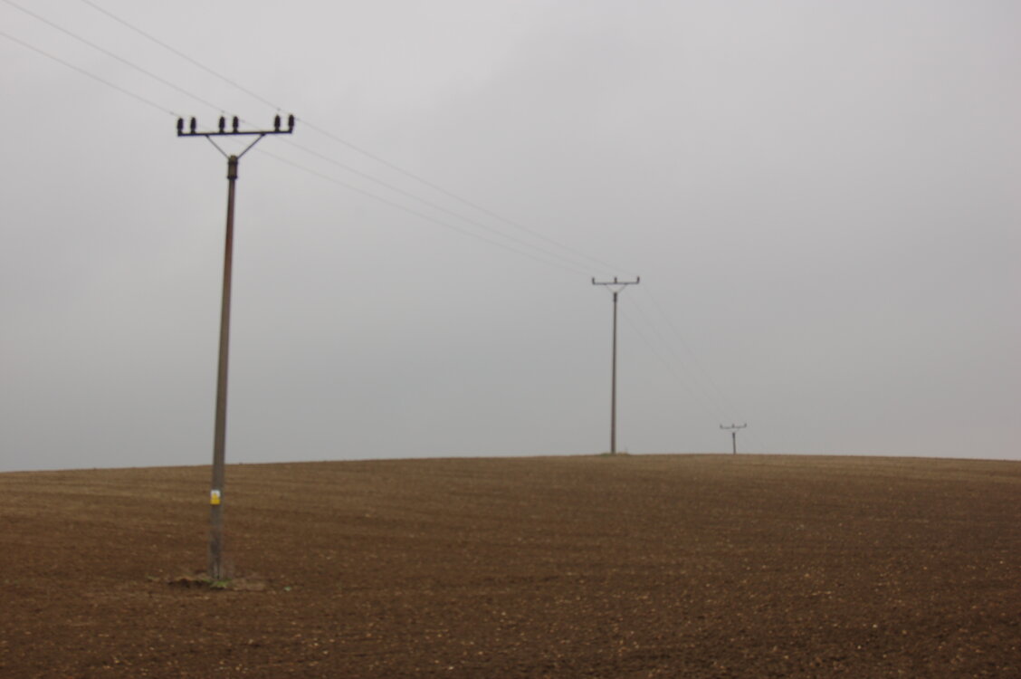 an1_009281.jpg
