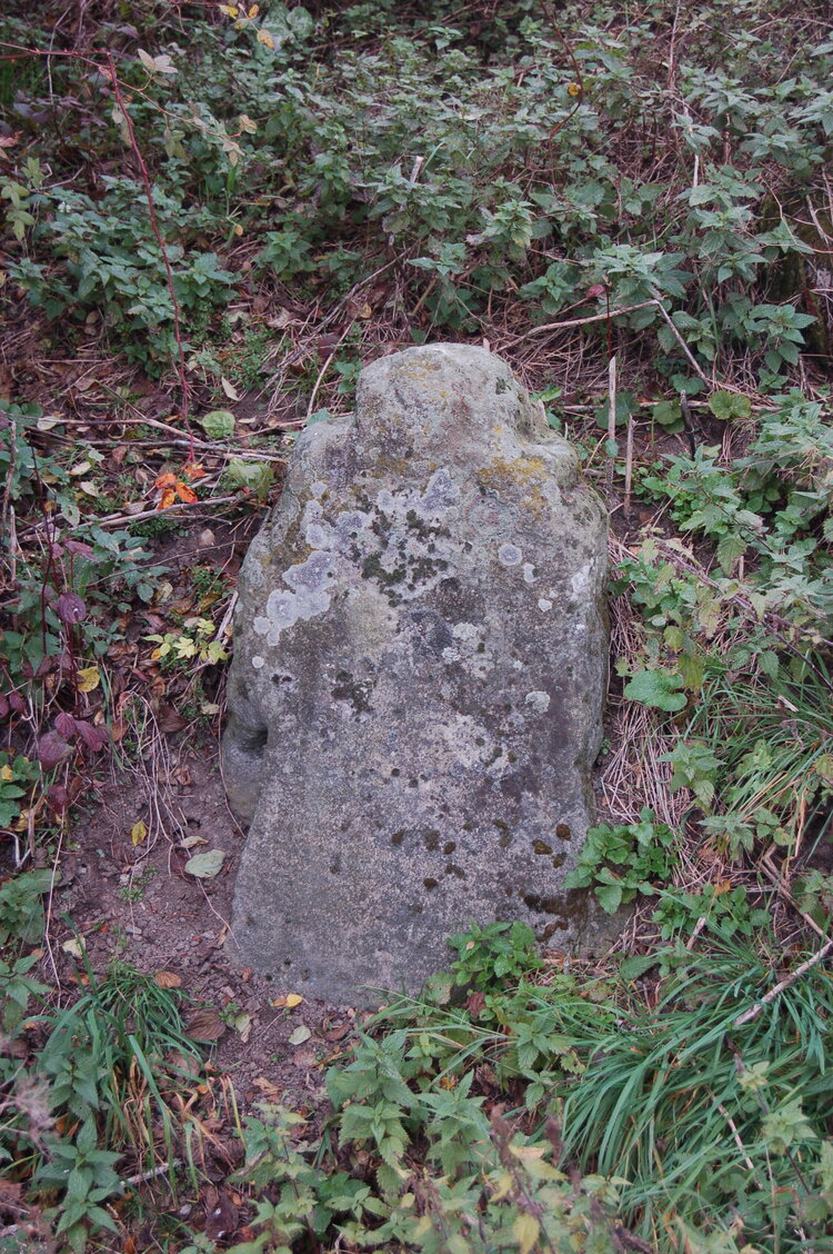 an1_009282.jpg