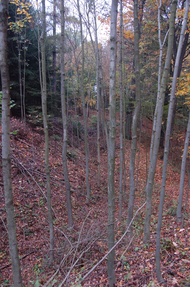an1_009289.jpg