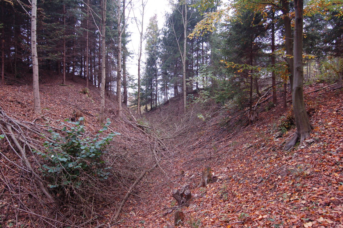 an1_009293.jpg