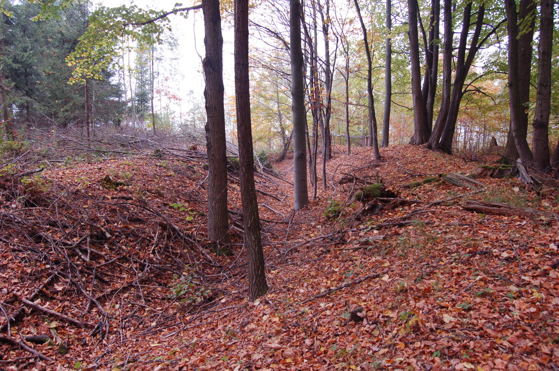 an1_009294.jpg