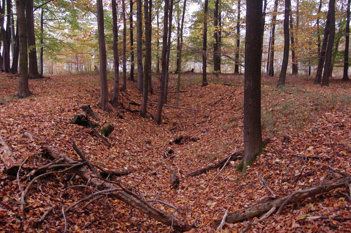 an1_009295.jpg
