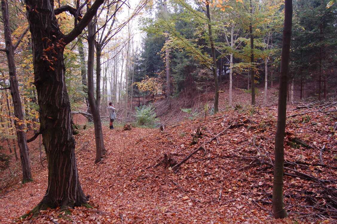 an1_009296.jpg