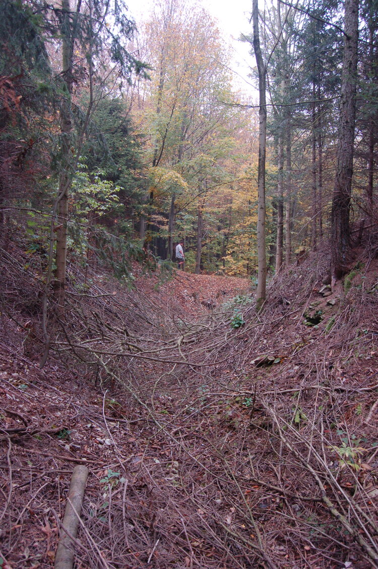 an1_009297.jpg