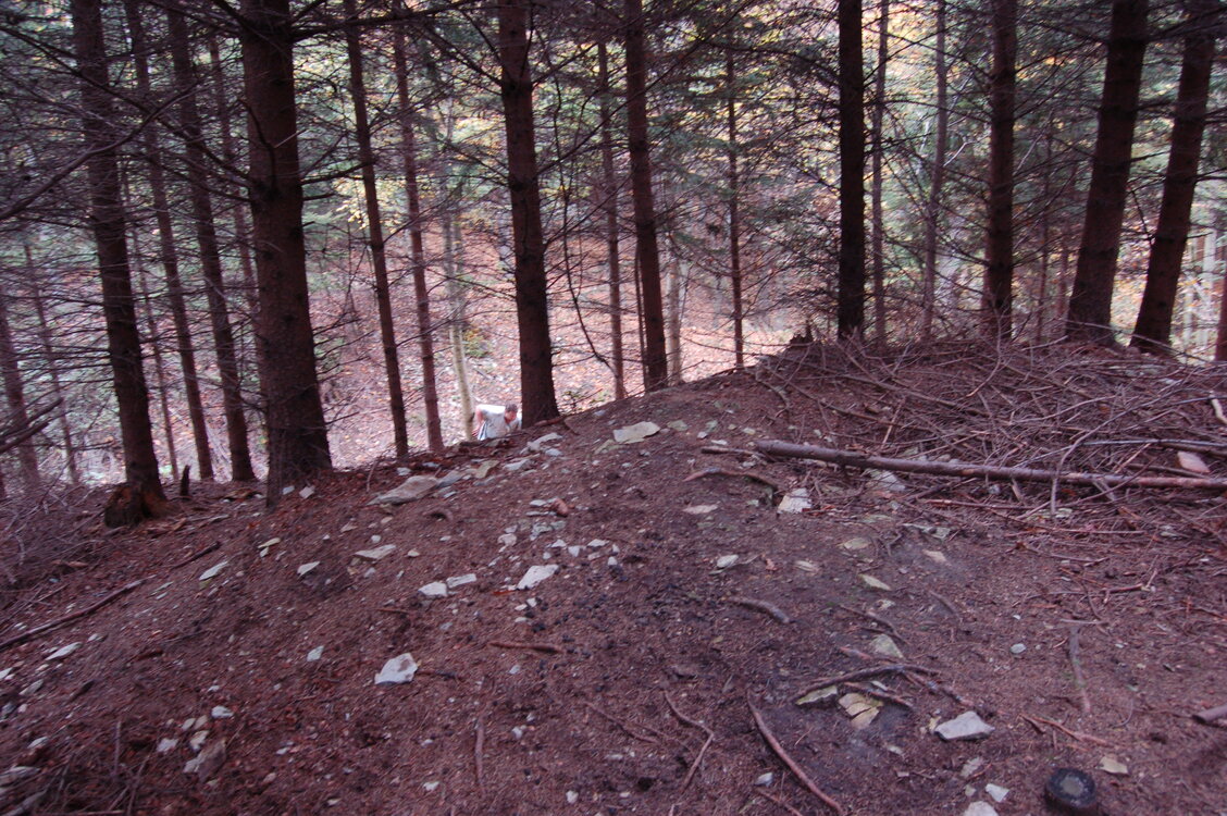 an1_009298.jpg