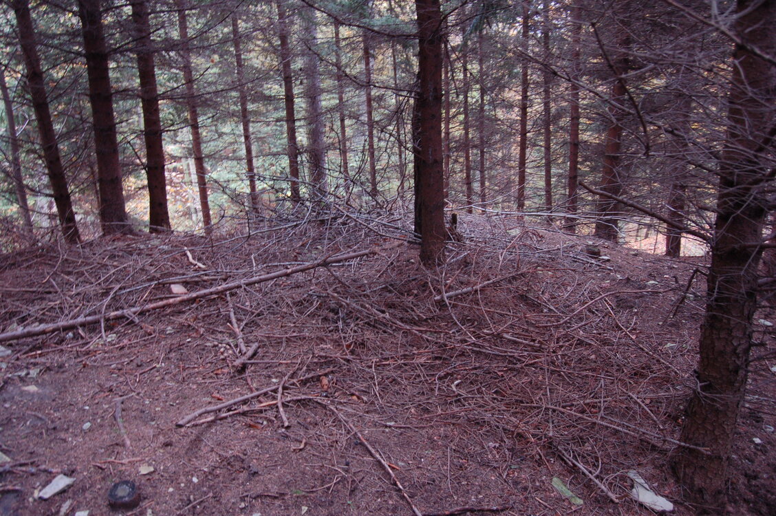 an1_009299.jpg