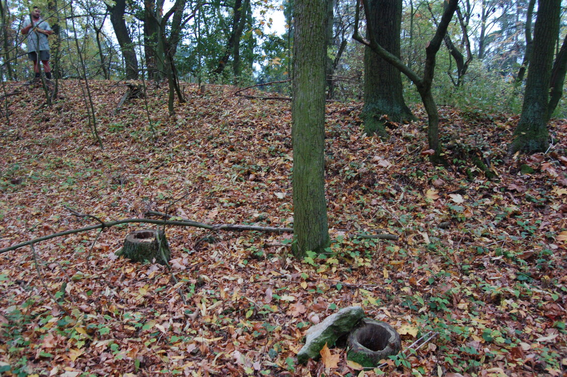 an1_009301.jpg