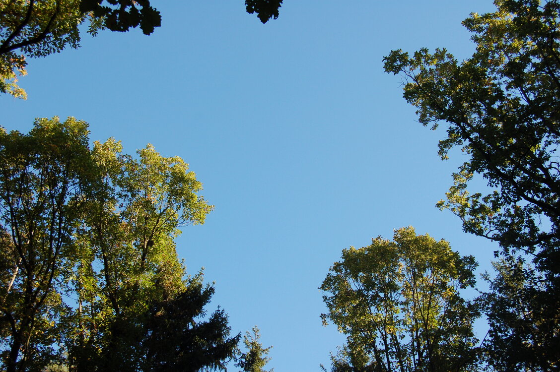 an1_009309.jpg