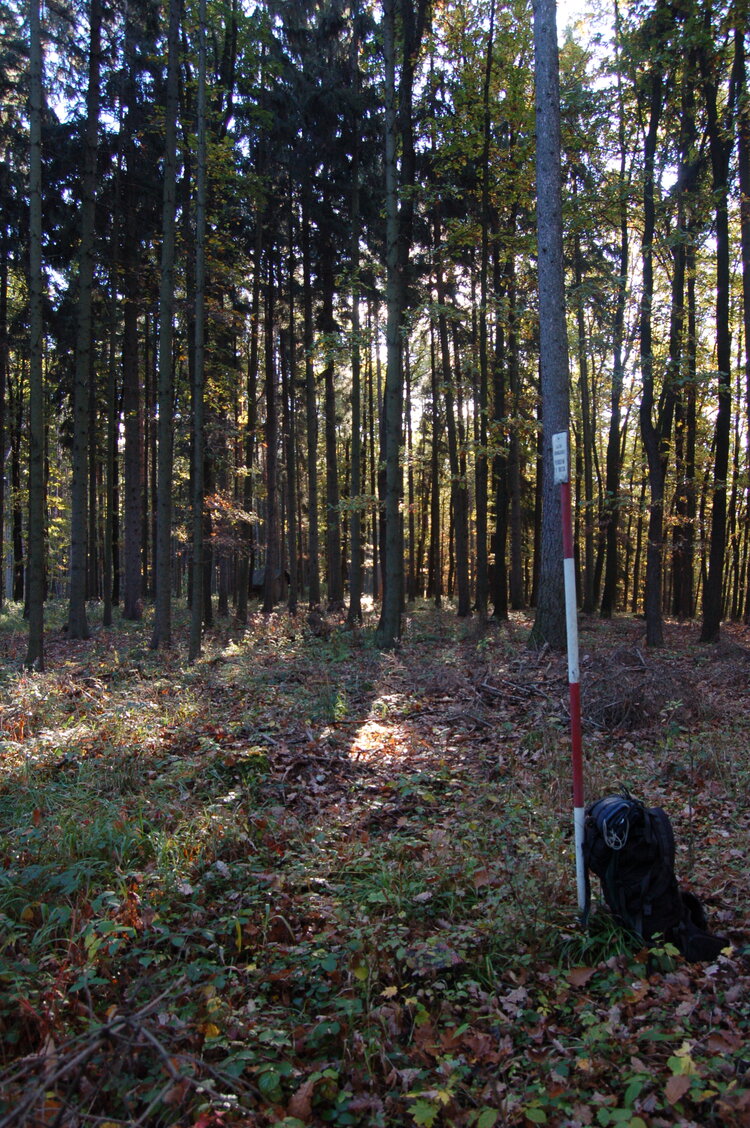 an1_009313.jpg