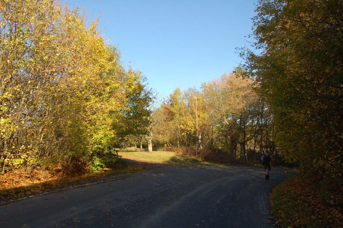an1_009314.jpg