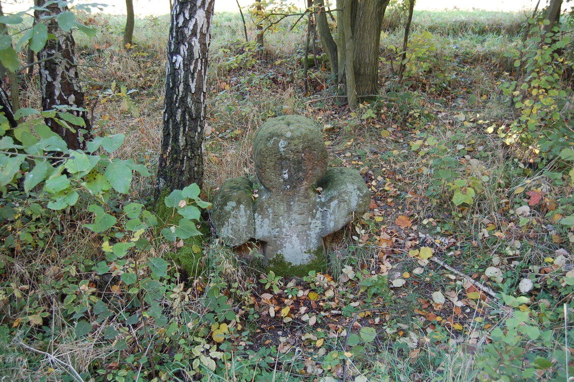 an1_009318.jpg