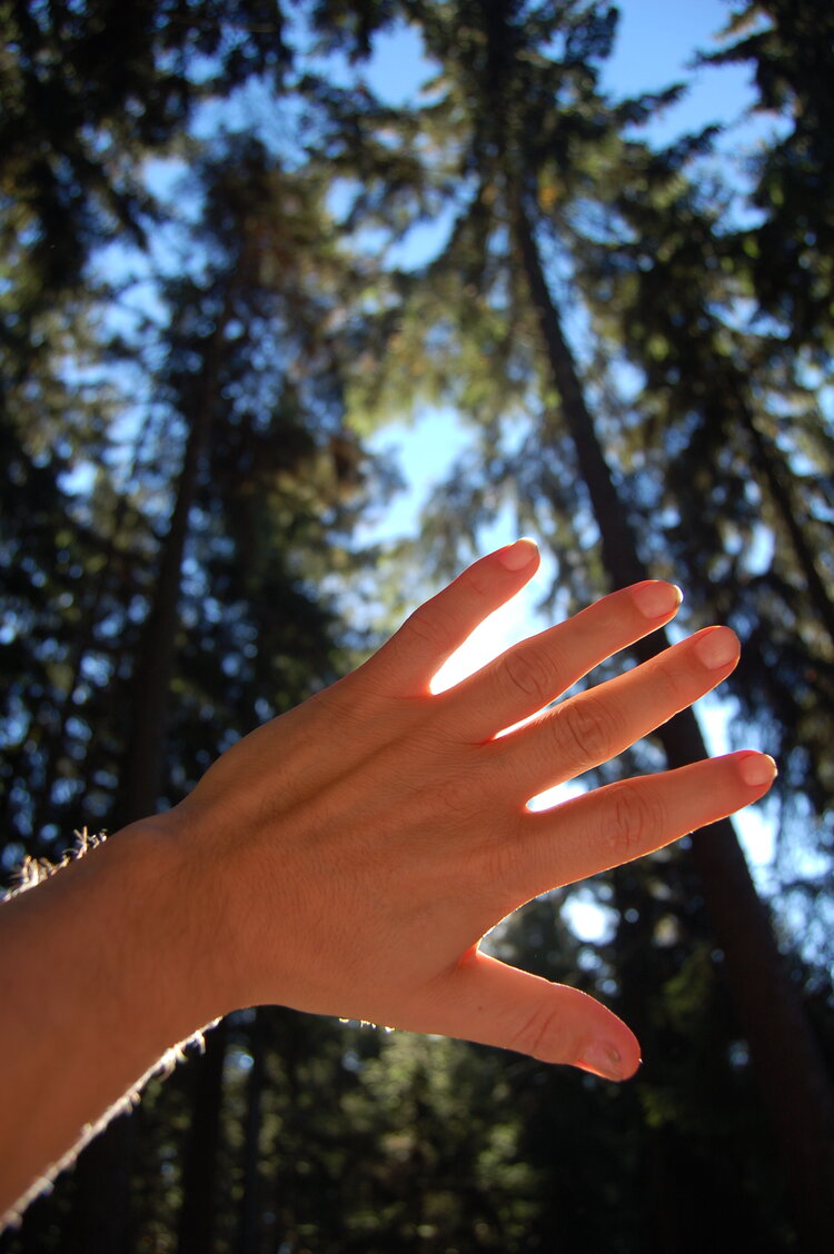 an1_009323.jpg