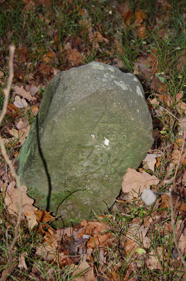 an1_009326.jpg