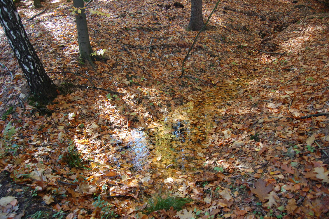 an1_009328.jpg