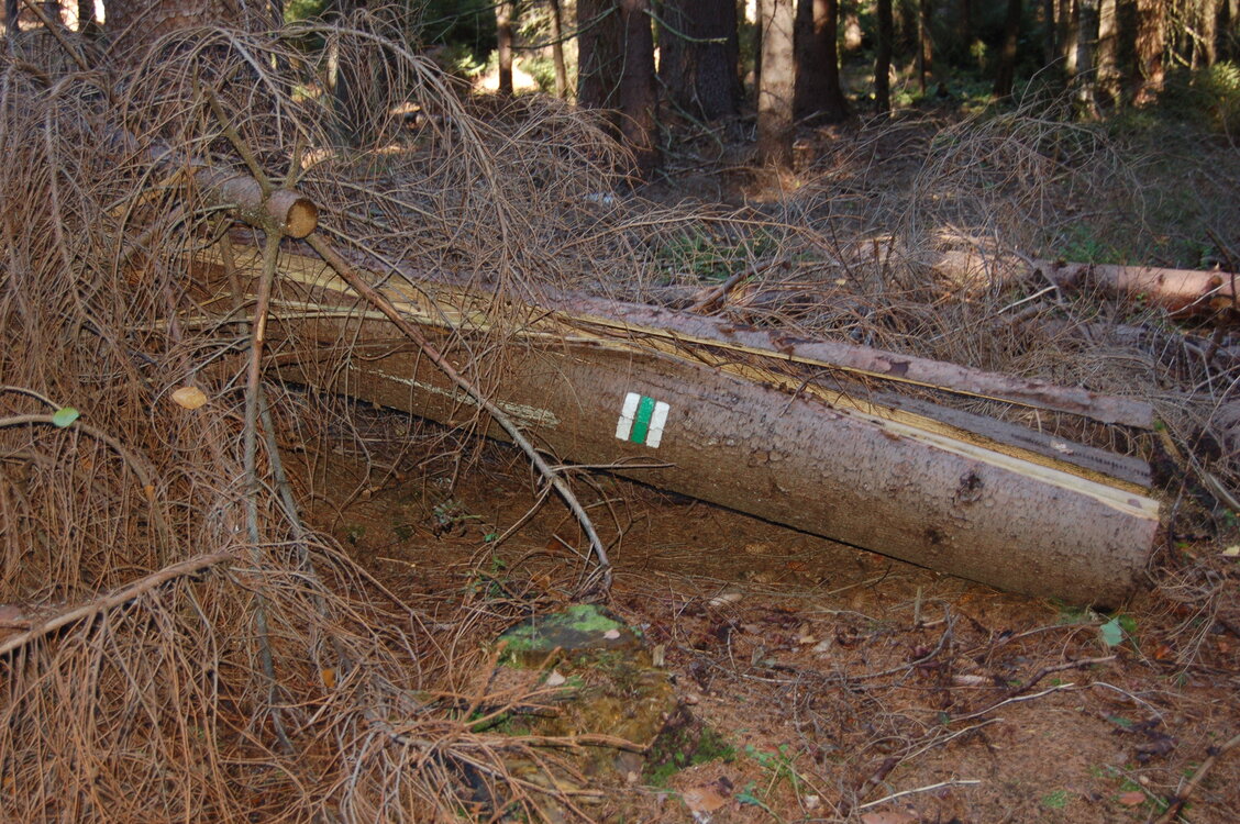 an1_009329.jpg