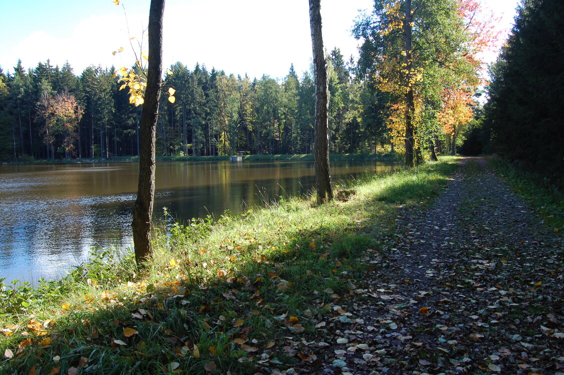 an1_009332.jpg