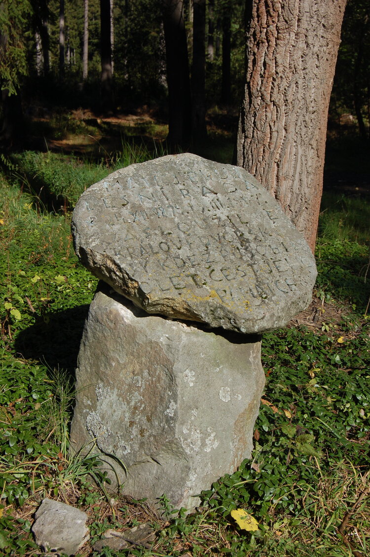 an1_009334.jpg