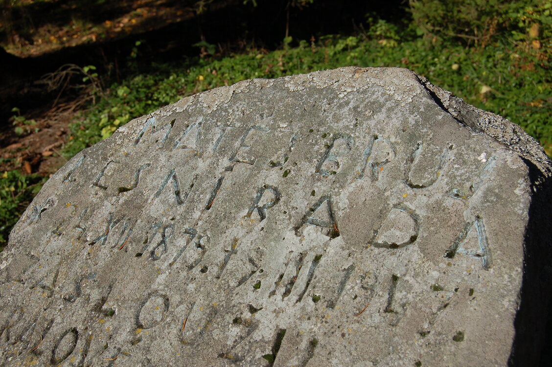 an1_009335.jpg