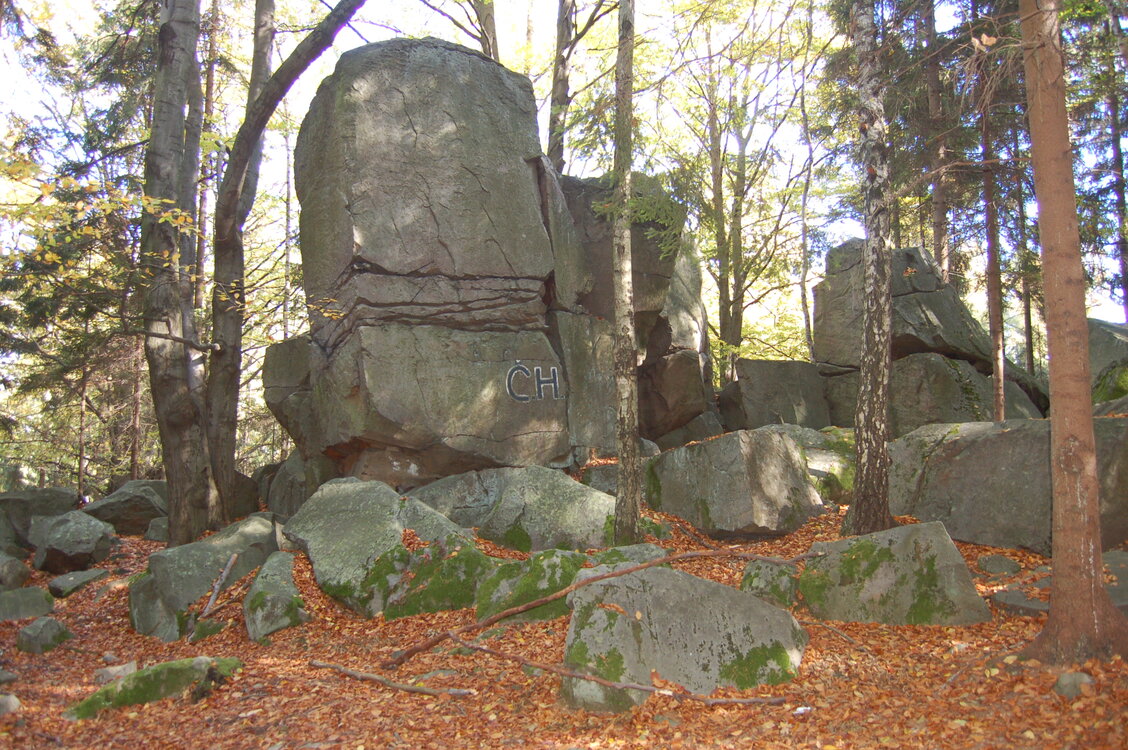 an1_009337.jpg