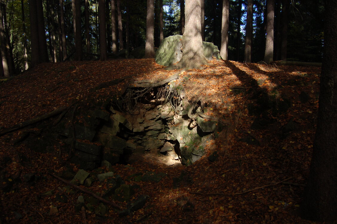 an1_009340.jpg