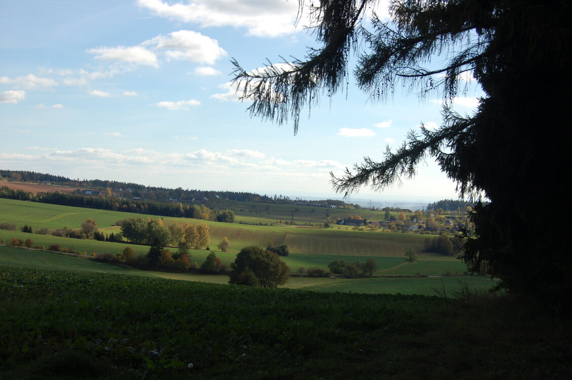 an1_009345.jpg