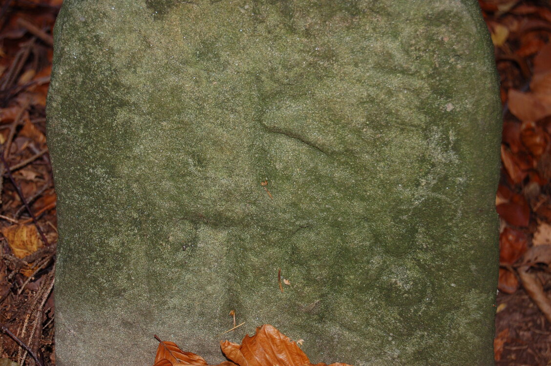an1_009349.jpg