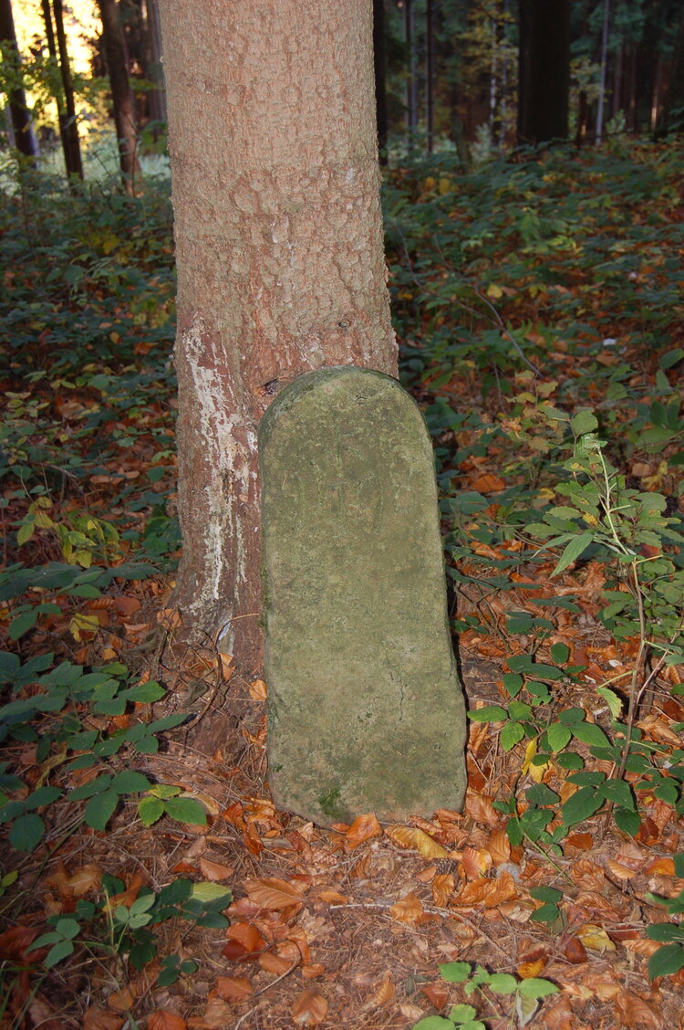 an1_009354.jpg