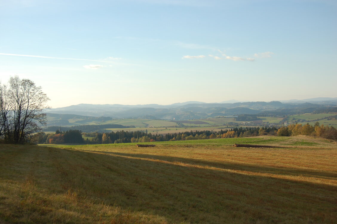 an1_009362.jpg