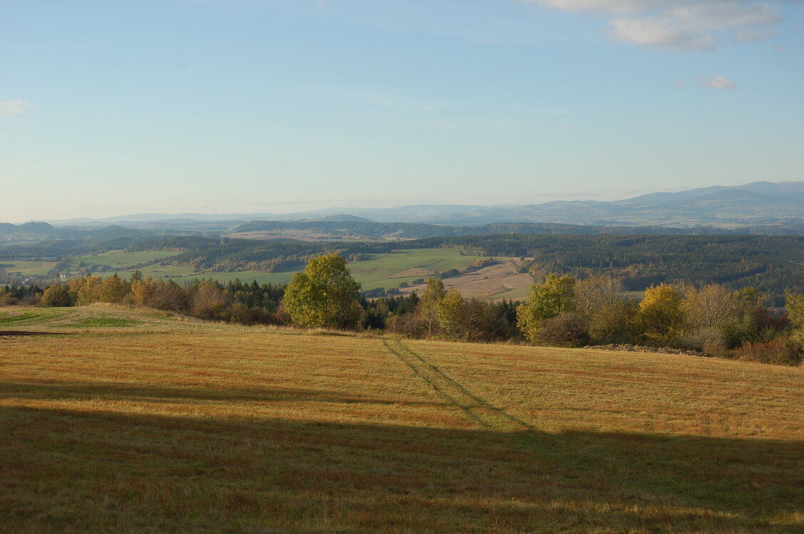 an1_009363.jpg