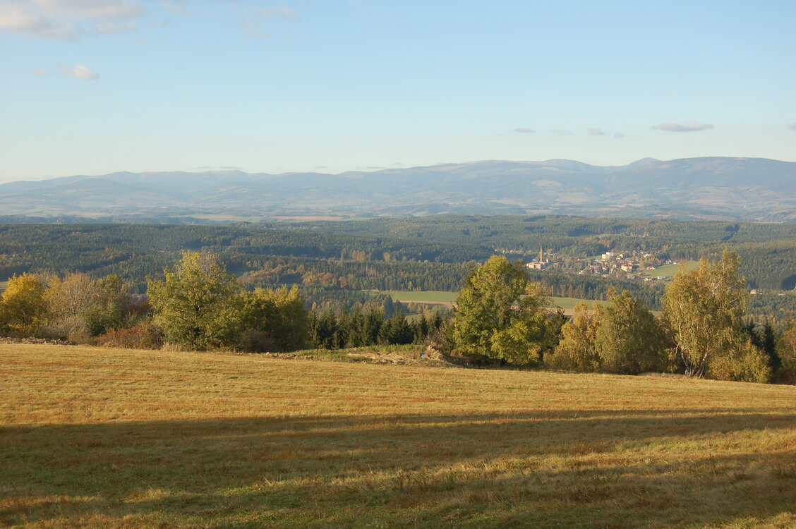 an1_009364.jpg