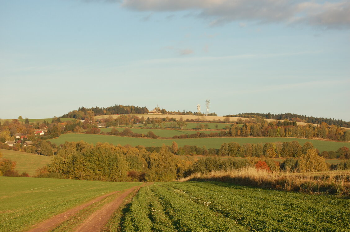 an1_009371.jpg