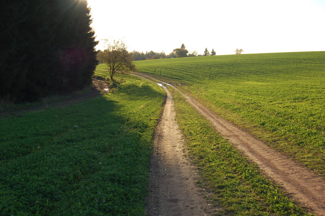 an1_009374.jpg