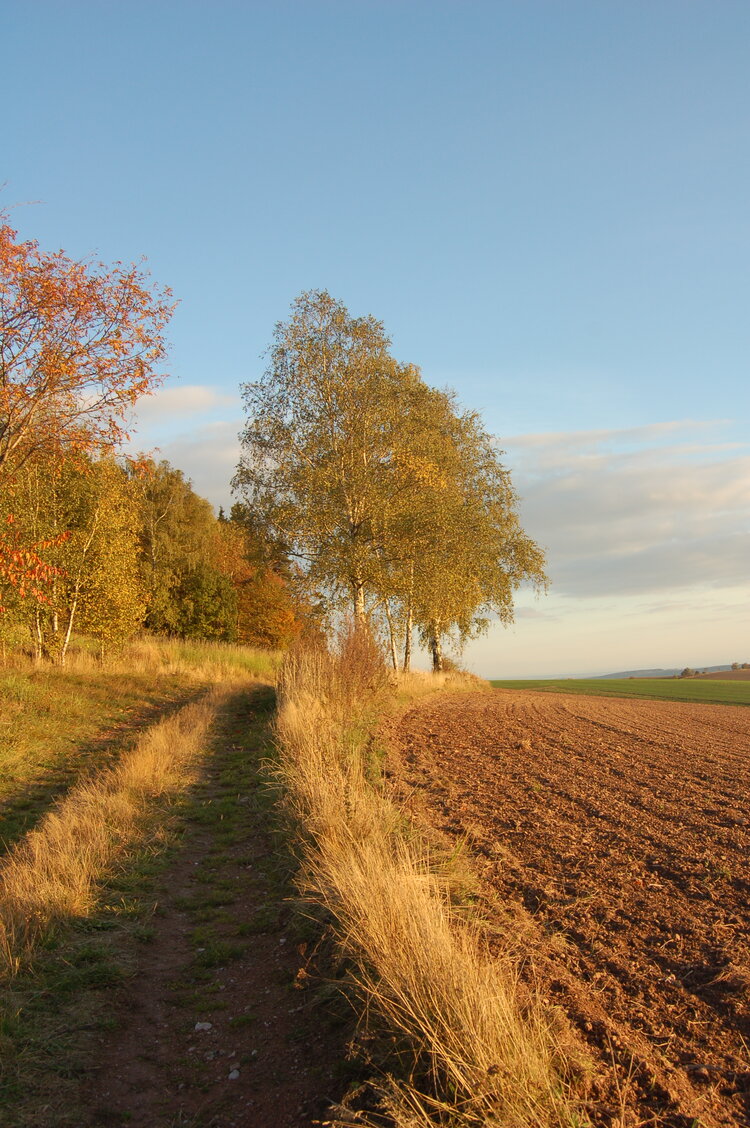 an1_009376.jpg