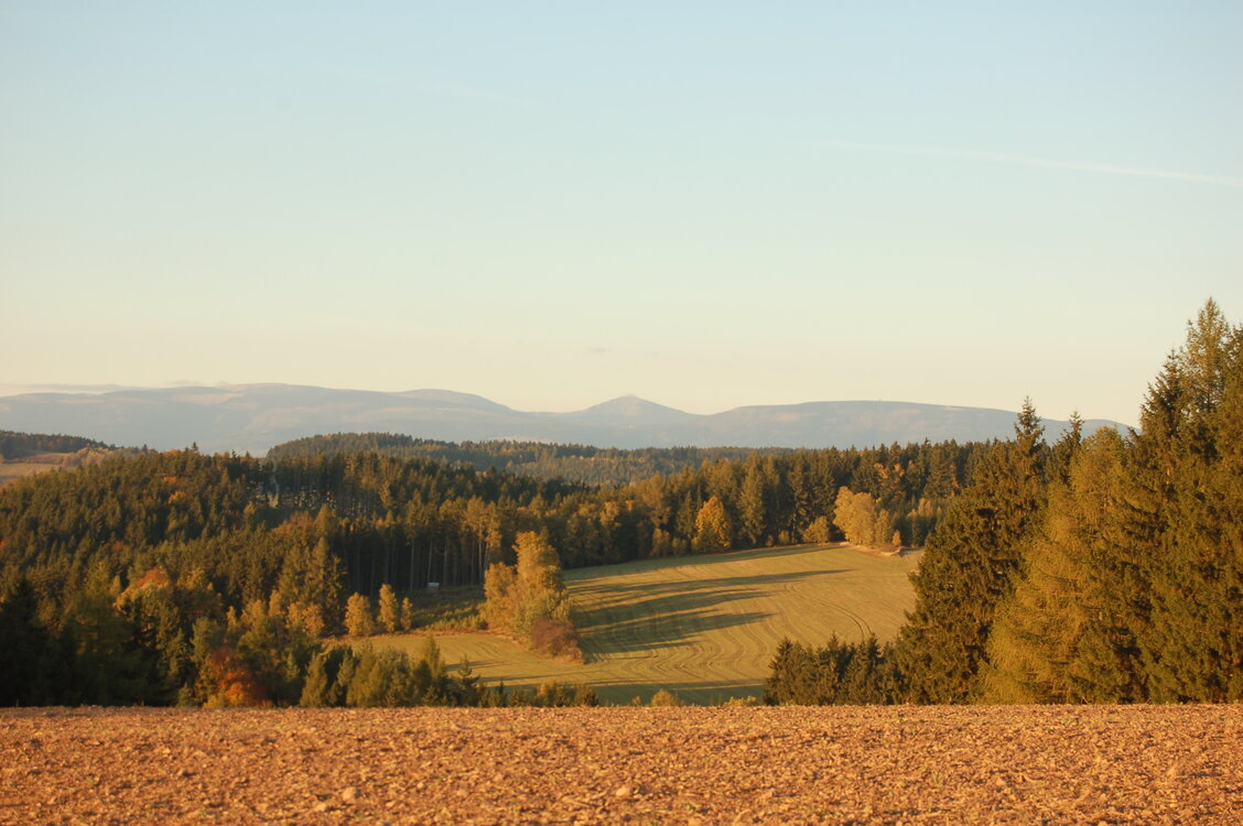an1_009378.jpg