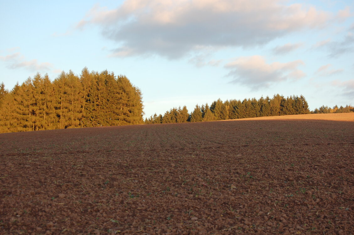 an1_009381.jpg