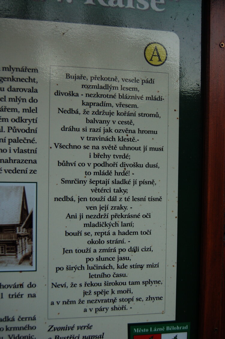 an1_009385.jpg