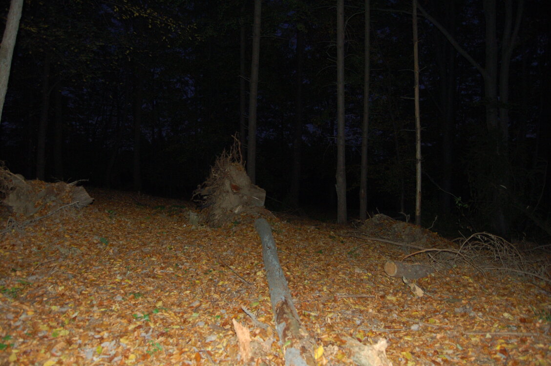 an1_009388.jpg