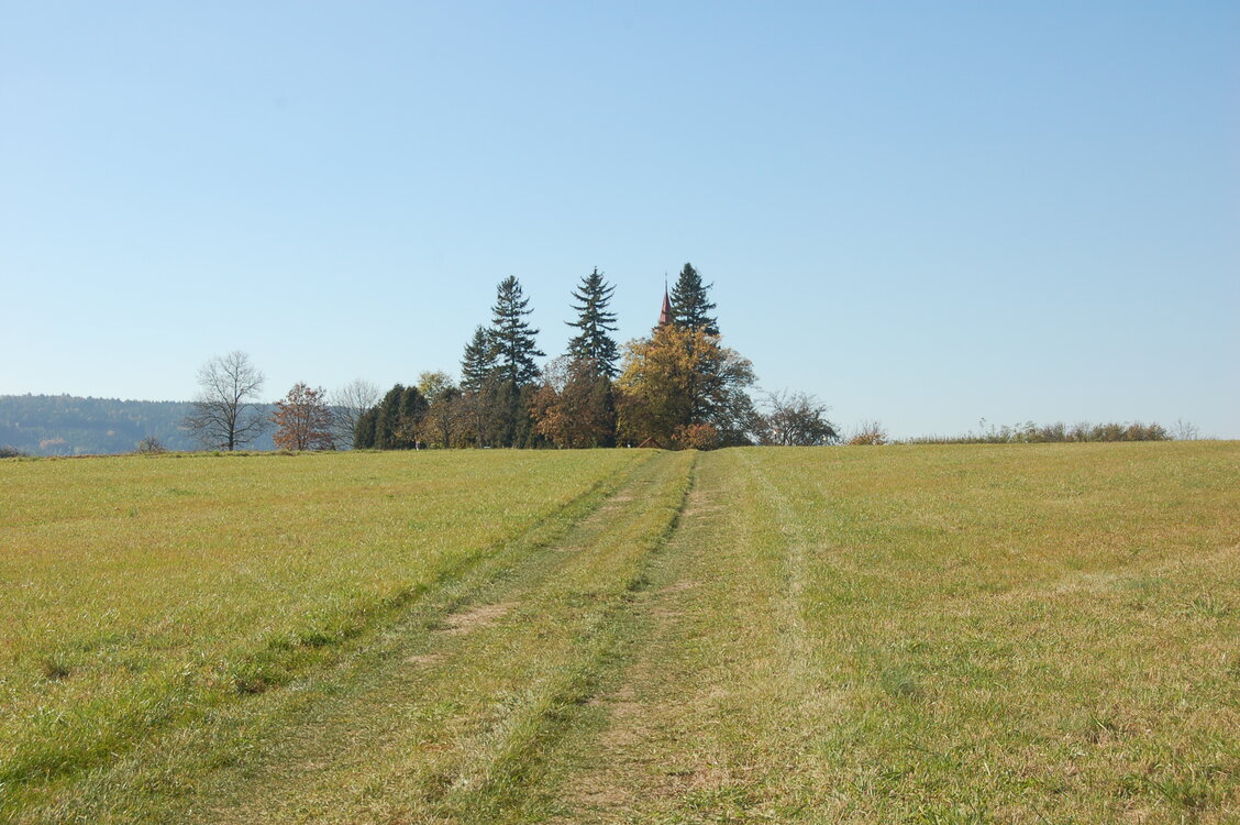 an1_009392.jpg