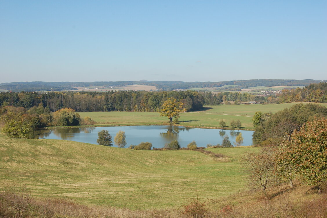 an1_009393.jpg