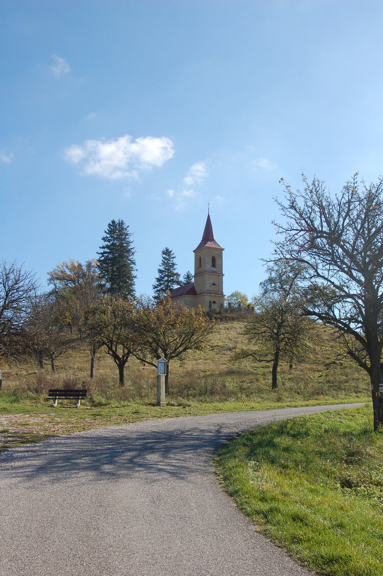 an1_009401.jpg