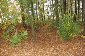 an1_009218.jpg
