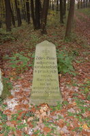 an1_009225.jpg