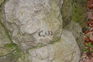 an1_009229.jpg