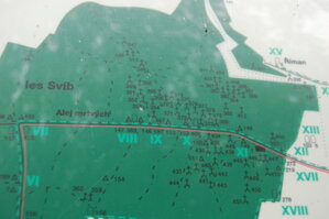 an1_009235.jpg