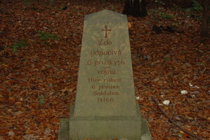 an1_009236.jpg