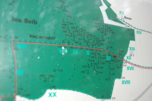 an1_009238.jpg