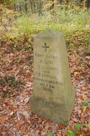 an1_009242.jpg