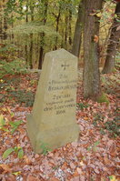 an1_009243.jpg